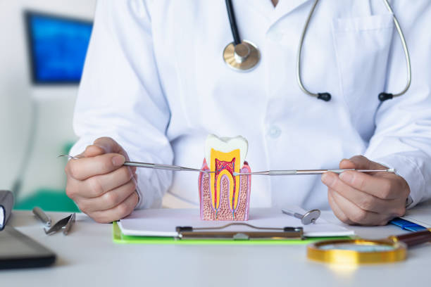 Best Emergency Tooth Extraction  in Lansing, IL